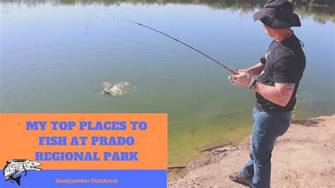 prado regional park fish stocking.